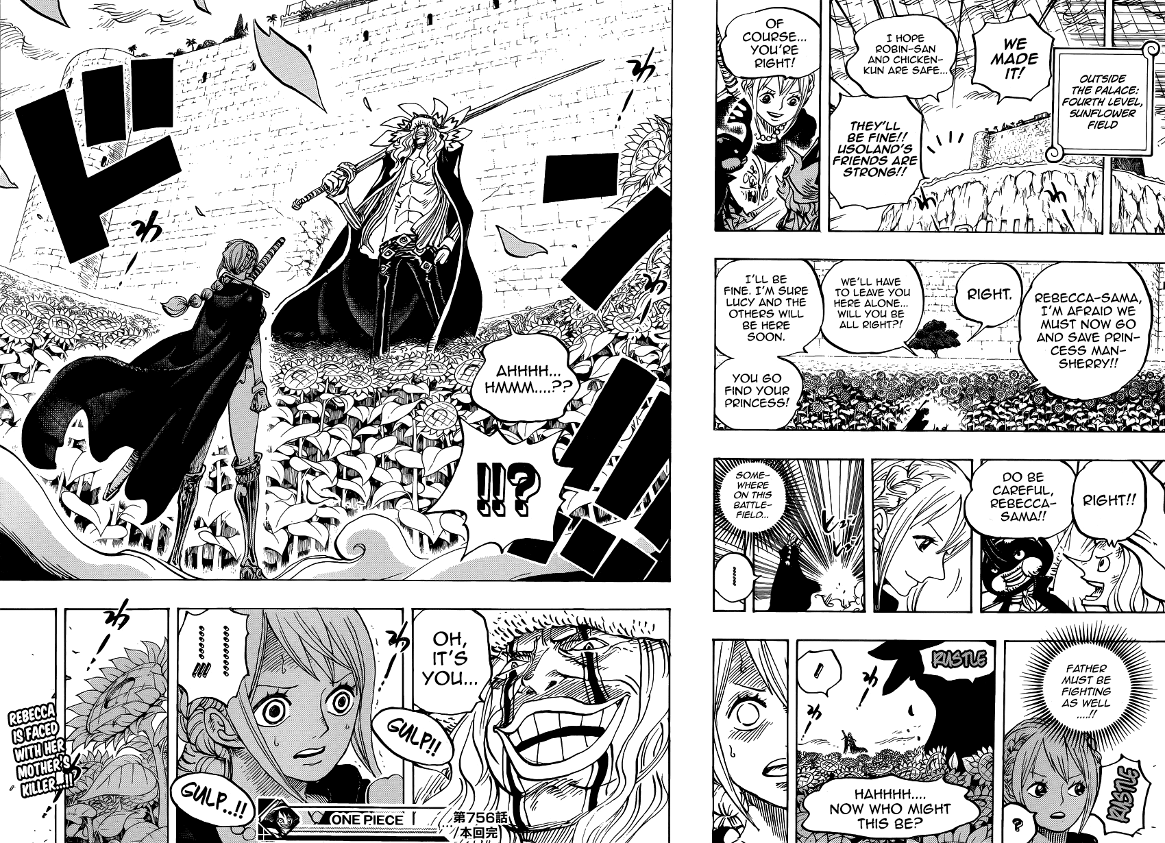 One Piece, Chapter 756 image 18
